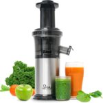 Top 10 Best Juicers 2026
