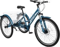 Top 10 Best Tricycles 2026